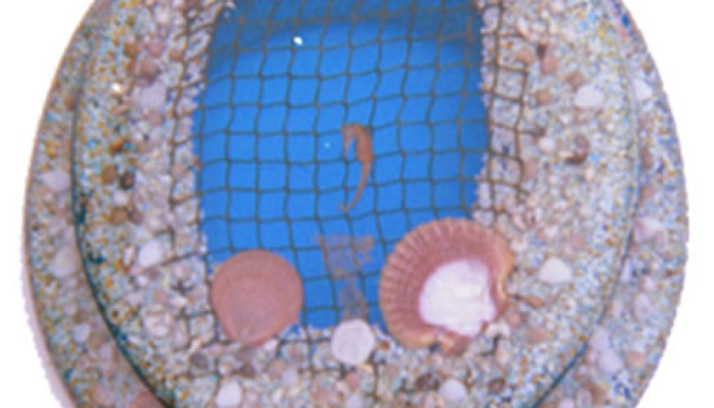 seafarer-net-blue-toilet-seat.jpg